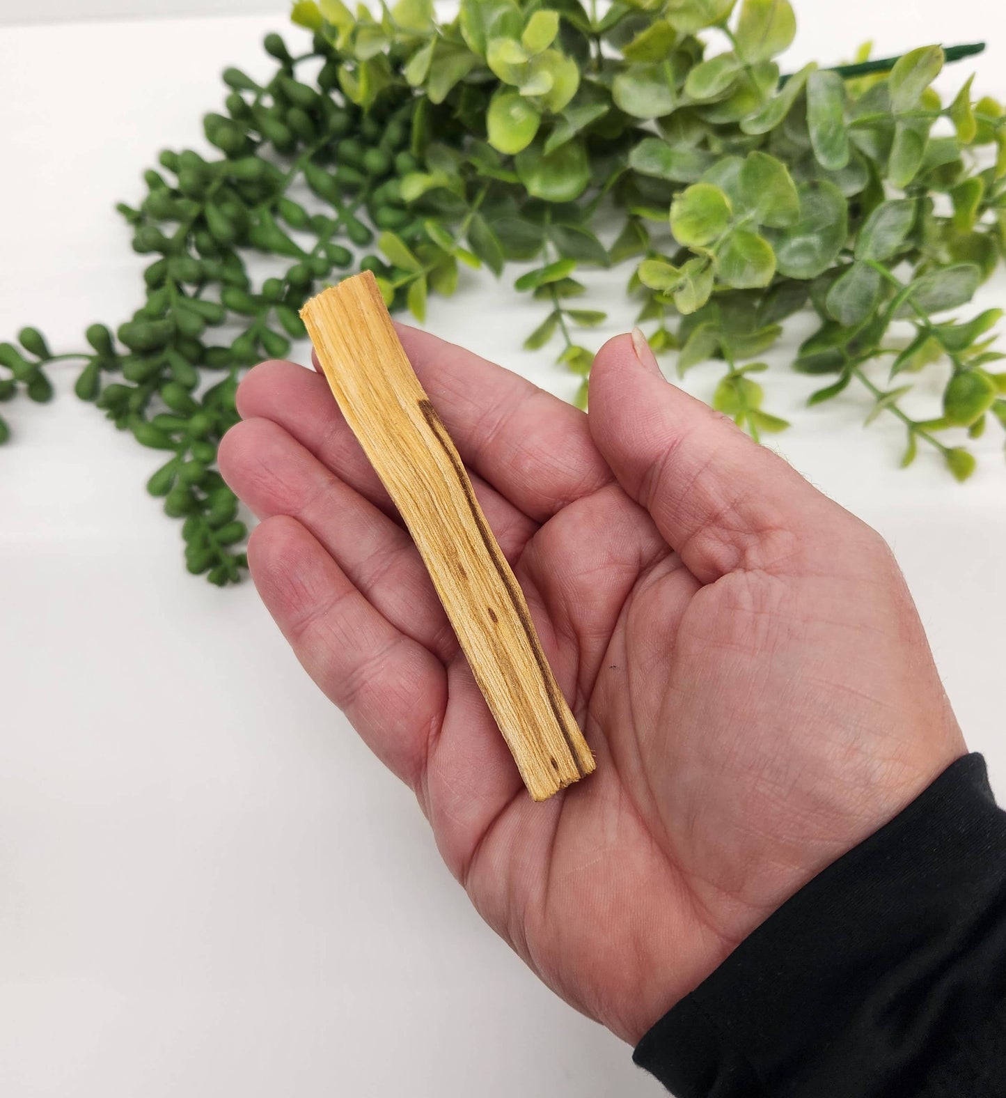 Palo Santo Sticks  10cm/4 inches